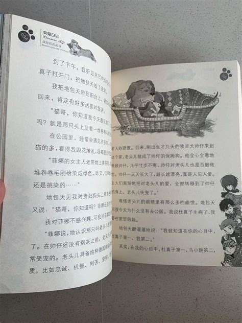 Chinese Story Books 笑猫日记, Hobbies & Toys, Books & Magazines, Fiction ...