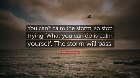 Timber Hawkeye Quote: “You can’t calm the storm, so stop trying. What ...