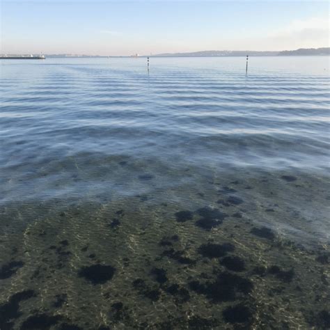 Image result for Wave Interference Pattern Jpg