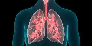 Endoscopic sinus surgery plus medical therapy efficacious in chronic ...