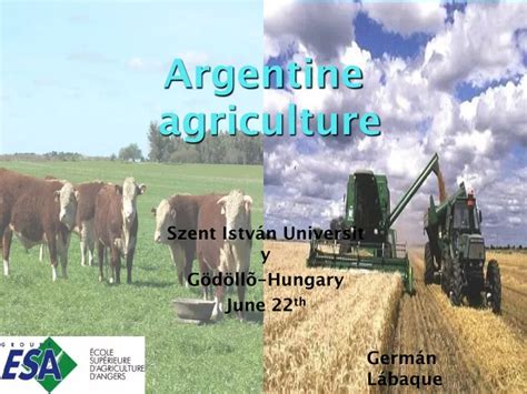 Argentina Agriculture 的图像结果