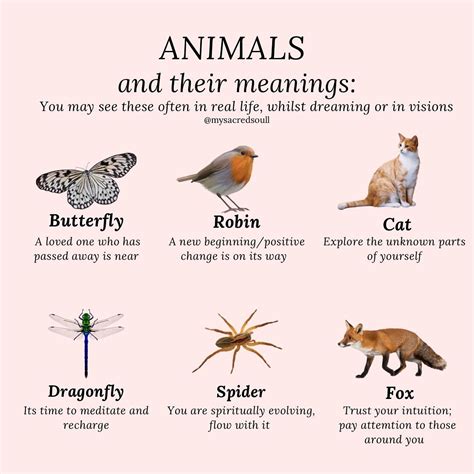 a few common animals you may see often - whether it’s walking down the ...