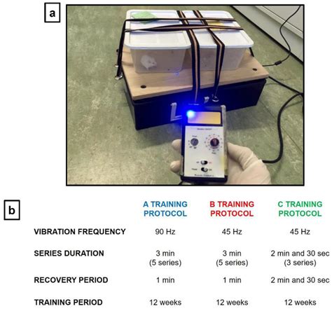 Modulation of Synaptic Plasticity by Vibratory Training in Young and ...