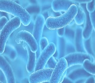 Nutrient for bacteria