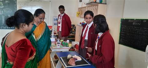 NPS - National Public School