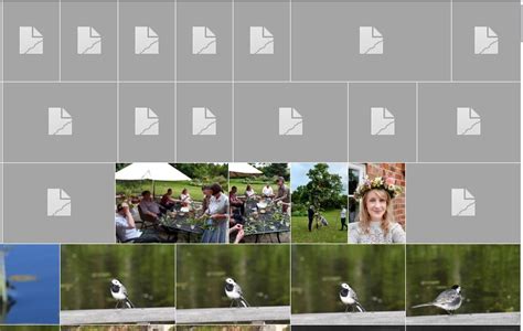 Image result for Adobe Organiser Elements 2021 Tutorial
