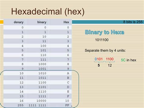 Image result for Data Representation in Computing
