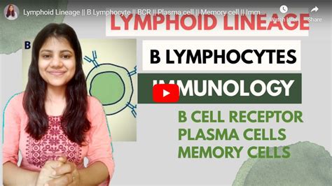 Image result for Lymphoid Cell Lineage
