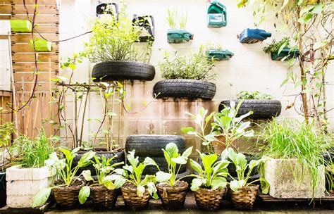 Best Cities for Urban Gardening? You Decide. - Urban Gardens