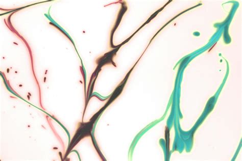 Image result for 3D Computer Art