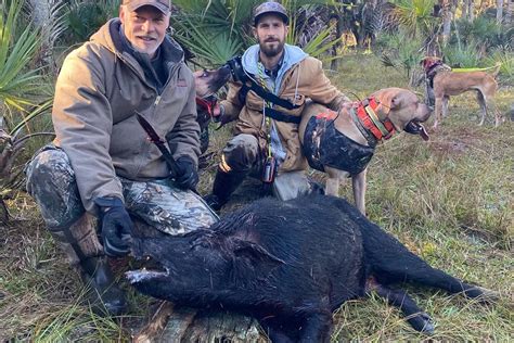 Image result for Python Cowboy Hunts