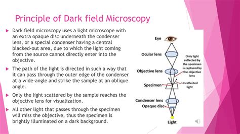 Bright field microscope and dark field microscope.pdf