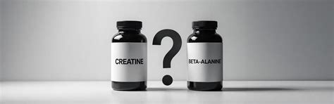 Creatine vs Beta-Alanine: Which One Boosts Endurance? – NAKPRO NUTRITION