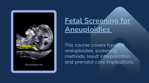 Image result for Fetalscreen II