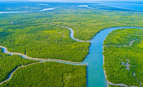 North, South, East, West Class 7 Notes English Unit 3 Free PDF