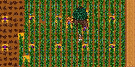 How to Grow Ancient Fruit in Stardew Valley