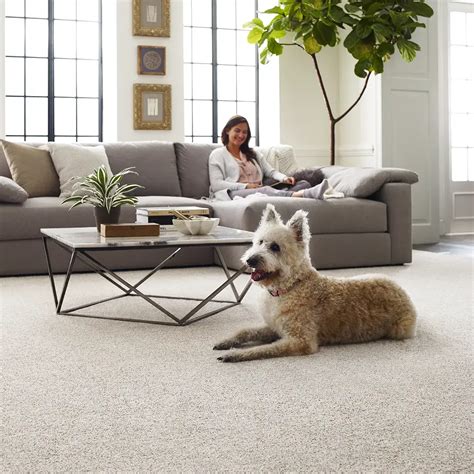 Anso Guarantee | St. Louis, MO | Ambassador Mid-West Floor