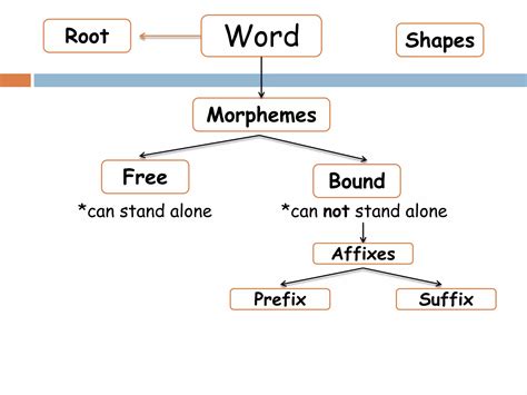Morphology Word and Its Parts (Root and Afixes) | PPTX