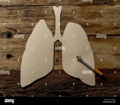 Conceptual image of cigarette burning on paper lungs isolated on rustic background. Advertising ...