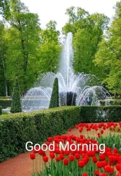 Good Morning Busy 的图像结果