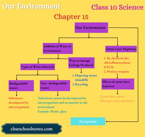 Class 10 15 Th Week Assignment Home Science 的图像结果