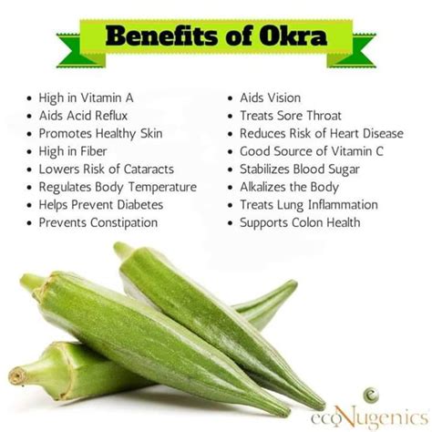 What Does Okra Do To A Pregnant Woman at Wallace Swindler blog