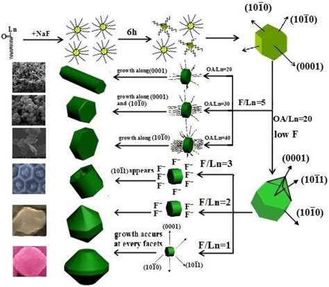 Synthesis of Upconversion β-NaYF4:Nd3+/Yb3+/Er3+ Particles with ...