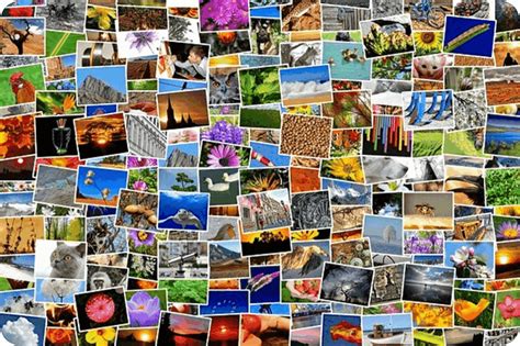 Image result for Free Pictures to Copy