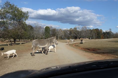 Elevation of NC-, Mt Ulla, NC, USA - Topographic Map - Altitude Map