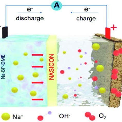 Image result for Na React with O2
