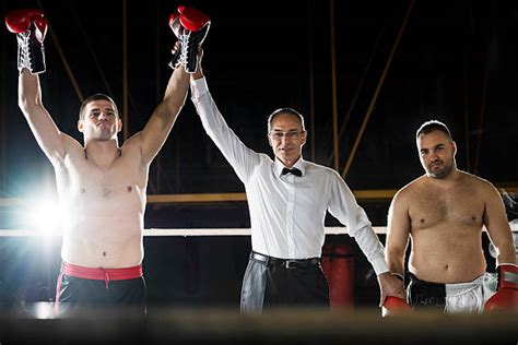 Boxing Match Referee 的图像结果