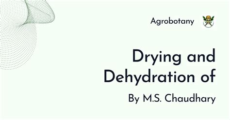 Drying and Dehydration of Agricultural Grains | Protected Structure ...