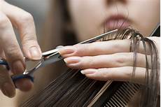 hair cutting style photos services cutting edge hair salon service hair care hair cutting style photos services cutting edge hair salon service hair care