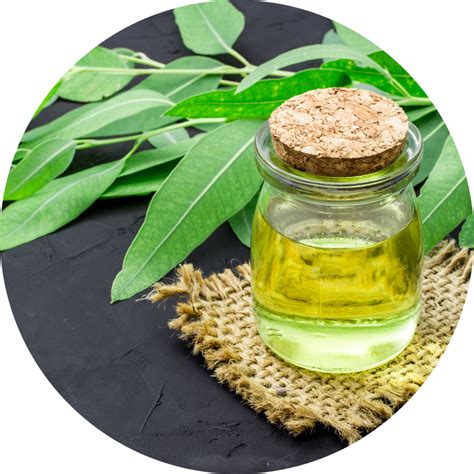 Liquid Detergent 2L – Lavender | Natural & Safe – Koparo – Koparo Clean