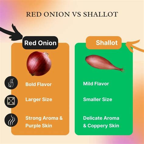 Red Onion vs Shallot: A Comprehensive Comparison | 60beanskitchen