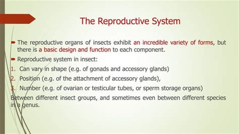 Image result for Insect reproductive system Insect Fertilization