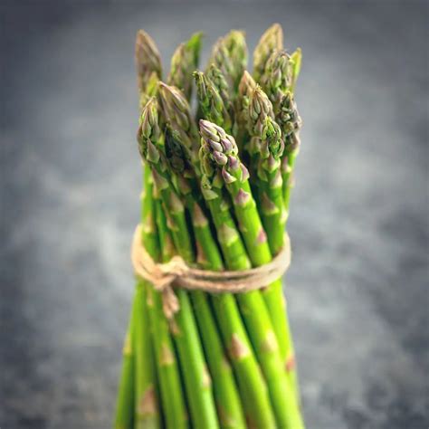 Buy Asparagus 'Apollo' Plants | The Plant Company