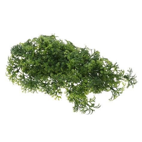 Buy Chlorophytum Ivy Vines for Reptiles and Amphibians Habitat Plant ...