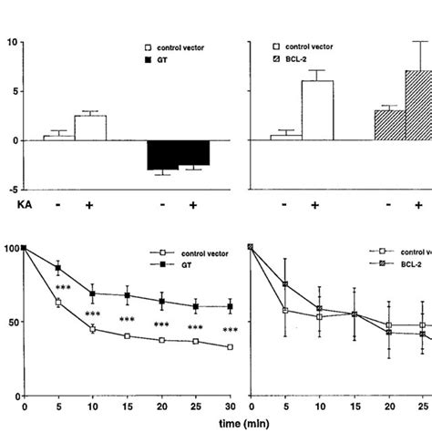 Image result for Hexagonal Structure Dope