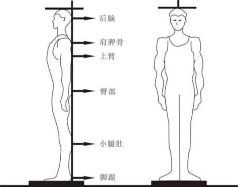 古代讲7尺男儿的”7尺”相当于现在的多少厘米？_百度知道