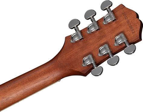 Epiphone Les Paul Trad Pro IV Worn, Metallic Gold India | Ubuy