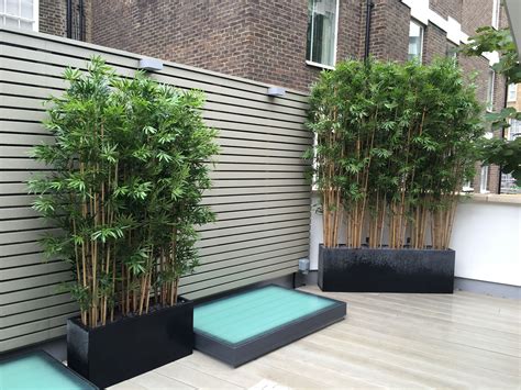 Faux bamboo - great for screening and privacy | Plante brise vue, Brise ...