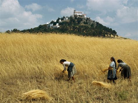 In What Areas of the World Did Agriculture First Develop - Clinton-has-Ross