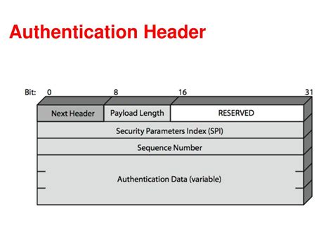 Image result for IP Security Authentication Header Diagram