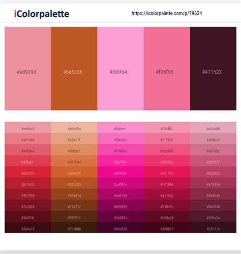 Chocolate Color 的图像结果