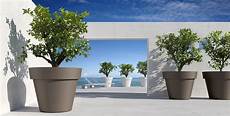 vasi arredo design vendita vasi da giardino designperte it vasi arredo design vendita vasi da giardino designperte it