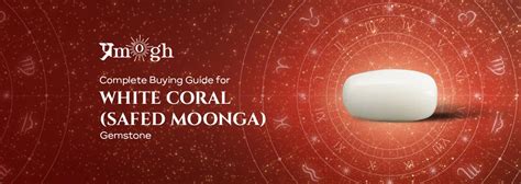 Complete Buying Guide for White Coral Stone (Safed Moonga)