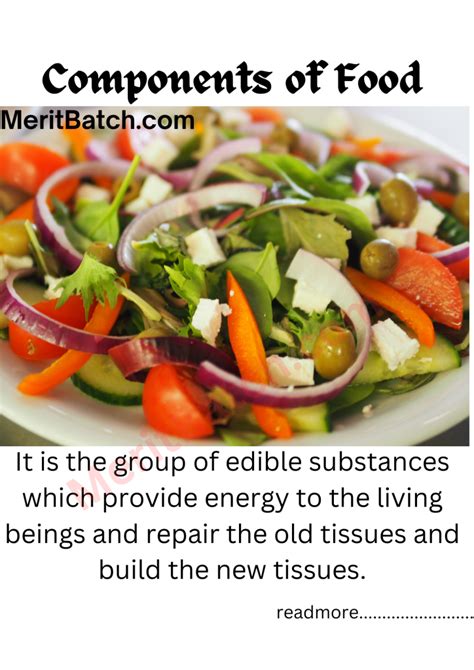 Science Components of Food 的图像结果