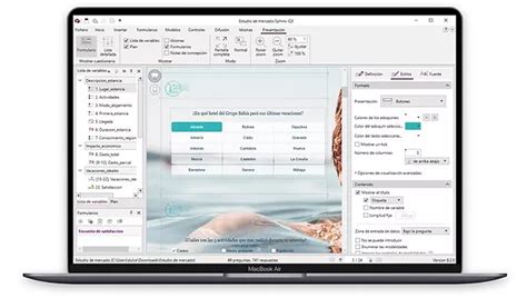 Image result for Sphinx Questionnaire