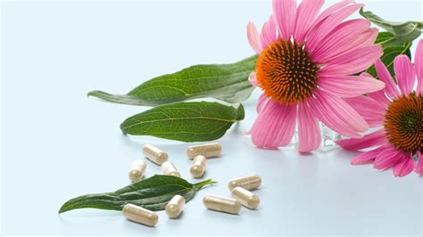 RDs Review Alo Supplements